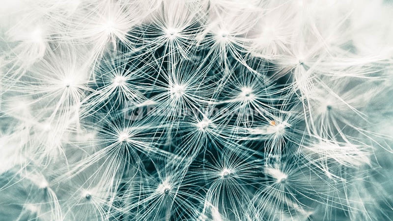 Kalimat Tauhid itu Ringan Diucapkan, Namun Berat Di Timbangan