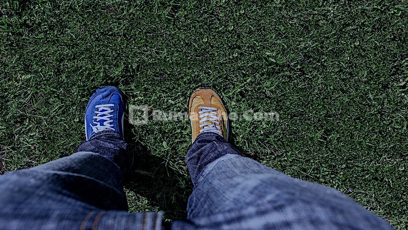 apa saja ciri orang munafik