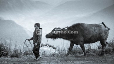 Tsalatsatul Ushul Kali bahasan kita tentang penyembelihan, istightsah, dan nadzar.