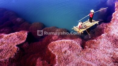 Jika kita berada dalam posisi diperlakukan buruk oleh kerabat, tetap balas dengan kebaikan. Itulah yang lebih menenangkan dan berpahala besar.