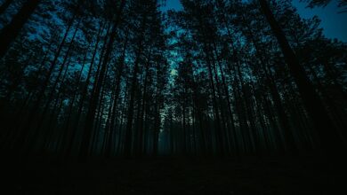 Apa saja keajaiban dari ayat kursi?