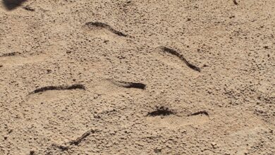 Khaibar, wilayah strategis di utara Madinah, menjadi ancaman bagi kaum Muslimin akibat pengkhianatan dan konspirasi kaum Yahudi. Rasulullah shallallahu 'alaihi wa sallam pun mengambil langkah tegas dengan menundukkannya demi menjaga stabilitas dan keamanan Madinah.