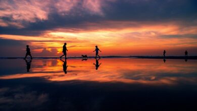 Nasib anak-anak yang meninggal sebelum baligh, baik dari keluarga Muslim maupun non-Muslim, merupakan pembahasan penting dalam Islam.